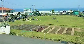 Blue Bay Resort Pension Seogwipo Hotel